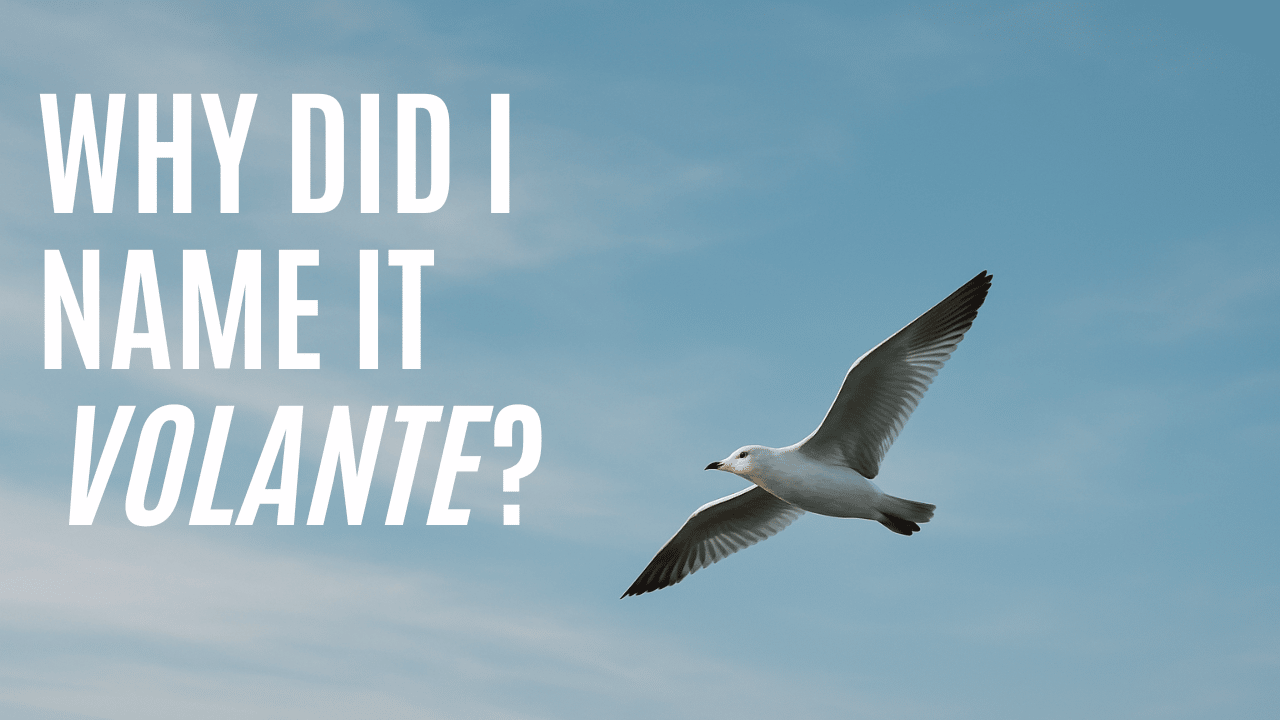Why I called It Volante – and when I needed it most