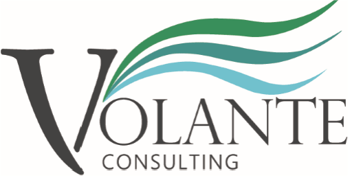 ORGANISATIONAL EFFECTIVENESS AS YOU GROW